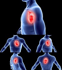 求视频:吸在黄鳝身体上的蚂蝗如何杀死-黄鳝身