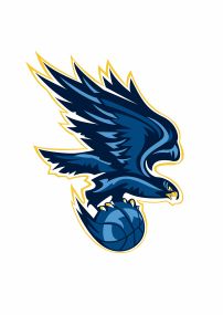 老鹰抓着篮球队徽海报模板下载(图片编号:141