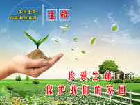 关于珍爱生命保护自己的毕业论文参考文献格式范文