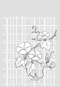 喇叭花白描图片_