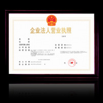 企业法人营业执照模板下载图片