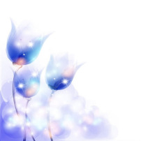 璀璨星光华丽邀请函封面设计模板下载(图片编