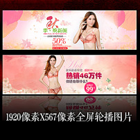 漂亮猫猫图片<em>素材</em>_漂亮猫猫图片<em>素材</em>免费下载