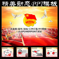 动态共青团志愿者团委党政报告会议PPT模板下