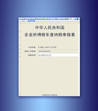 企业所得税年度纳税申报表模板下载(图片编号