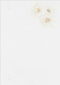 A4纸背景图片素材_A4纸背景图片素材免费下