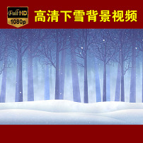 下雪视频图片素材_下雪视频图片素材免费下载