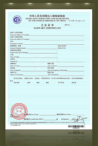 出入境图片素材_出入境图片素材免费下载_出