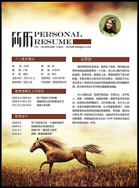 个人求职简历展望未来模板下载(图片编号:131