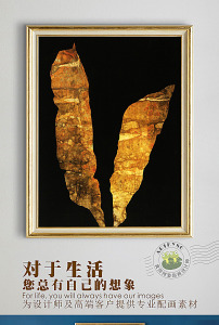 欧式复古黑底彩金鱼红色蓝色黄色斗鱼背景墙高