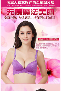 <em>文胸</em>宝贝<em>描述</em>模板图片素材_<em>文胸</em>宝贝<em>描述</em>模板