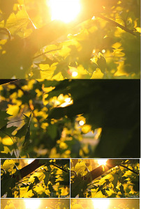 空镜头图片素材_空镜头图片素材免费下载_空