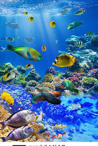 阳光海底世界鱼群海龟洗手间浴室3d地板