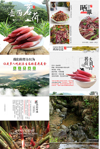 农村淘宝图片素材_农村淘宝图片素材免费下载