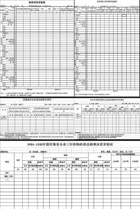 国家公务员机关工作者录用计划执行统计表模板