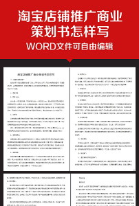 企业办公服务淘宝店铺推广商业策划书模板下载