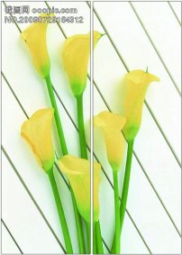 特步冬装2 文字 谢霆锋  潘玮柏  蔡依林 背影 冰