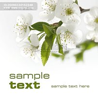 钢琴学习班模板下载(图片编号:488218)_粉色可