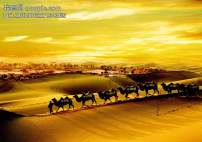 沙漠 骆驼/沙漠骆驼队伍