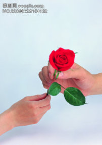 特步冬装2 文字 谢霆锋  潘玮柏  蔡依林 背影 冰