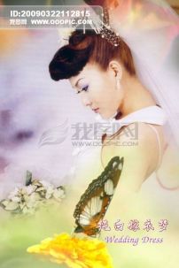 中国婚纱摄影网_昵图网婚纱宣传素材(3)