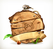 砍伐后的树木小鸟环保海报创意